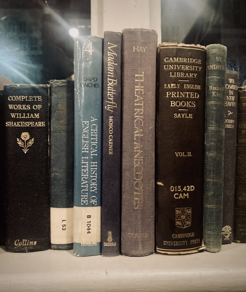 A selection of theatrical books on the windowsill of the library bar at the Bush Theatre. The books are arranged vertically, with spines facing outwards so that the titles are visible. Titles include 'Madam Butterfly' by Mosco Carner, 'Theatrical Anecdotes' by Hay and the Complete Works of William Shakespeare.