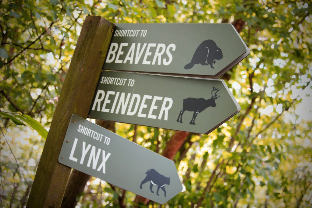 A signpost at Wildwood. The sign has three points. The top one reads 'Shortcut to beavers' and has an image of a beaver on it. The middle one reads 'Shortcut to reindeer' and has an image of a reindeer on it. The bottom one reads 'Shortcut to lynx' and has an image of a lynx on it.