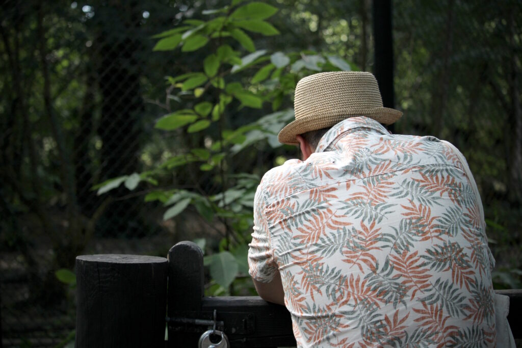 A man leaning on a gate, looking into the wolf enclosure. We are looking at the man from behind. He is wearing a straw hat and wearing a white shirt with a pattern of orange and green leaves on it. The woodland is visible in the background of the image.