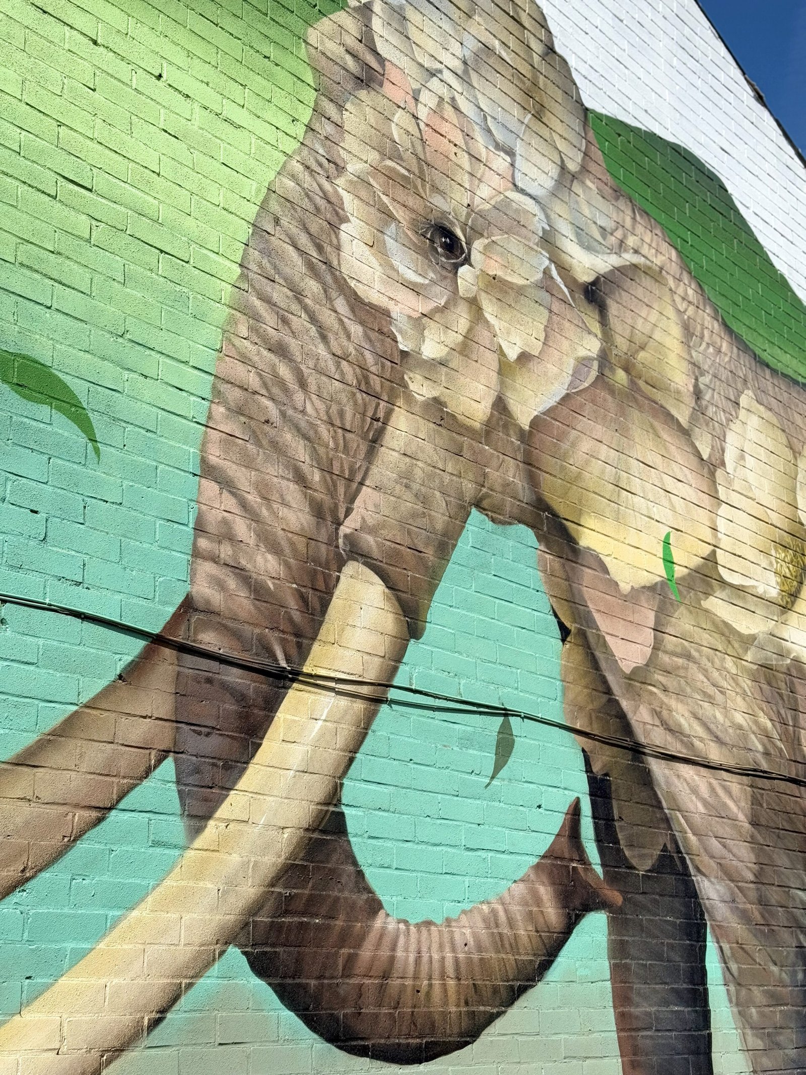 Close up of The Chatham Elephant mural by Curtis Hylton. It shows an elephant against a green and turquoise background.