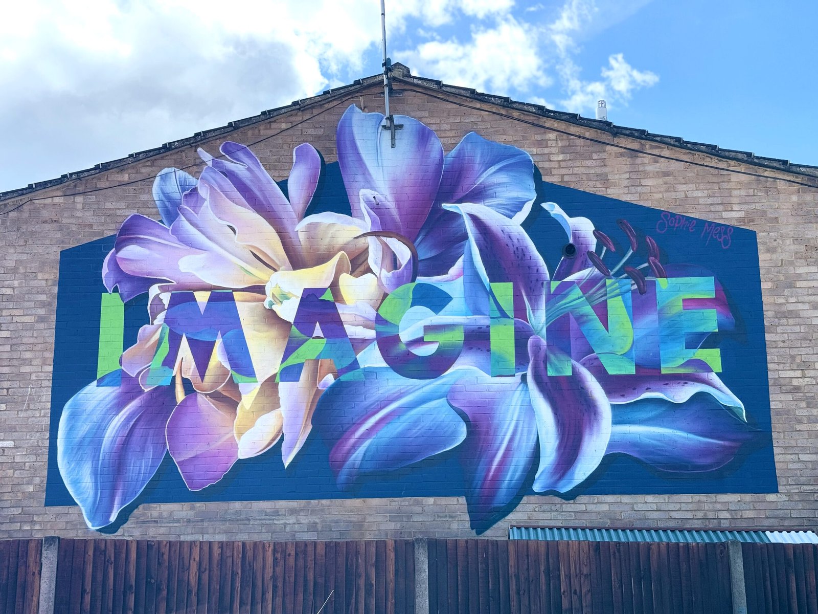 The word 'Imagine' is painted in capitals against blue and purple flowers on a dark blue background.